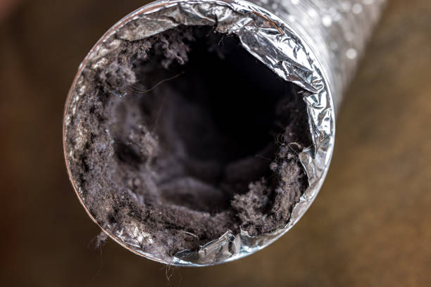 Best HVAC Air Duct Cleaning  in Rogers, MN