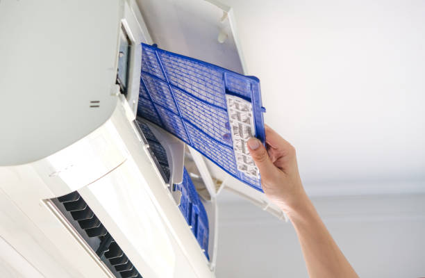 Best Home Air Vent Cleaning  in Rogers, MN