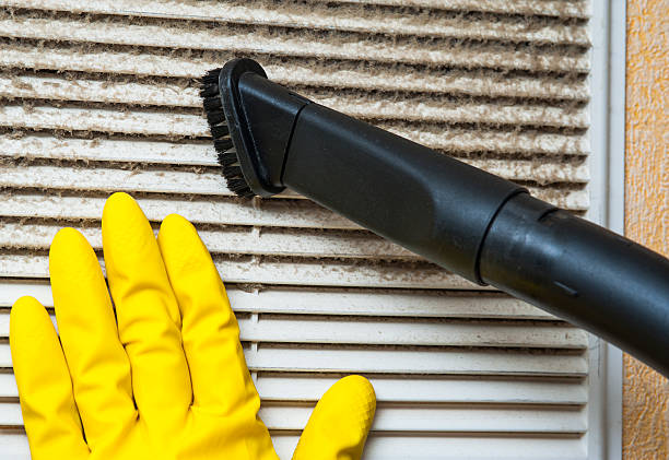 Best Ductwork Cleaning Services  in Rogers, MN