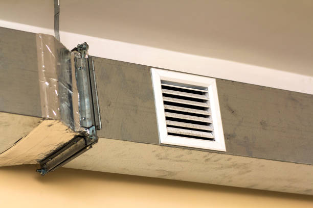 Best Air Duct Cleaning Company Near Me  in Rogers, MN